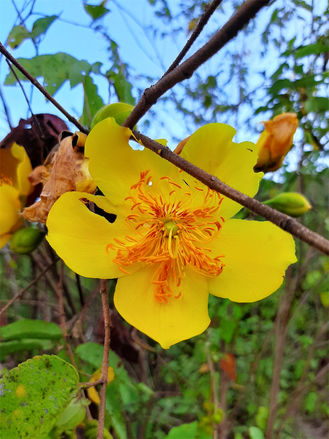 Estación biológica Tierra Santa, El Roble, Sucre, Colombia